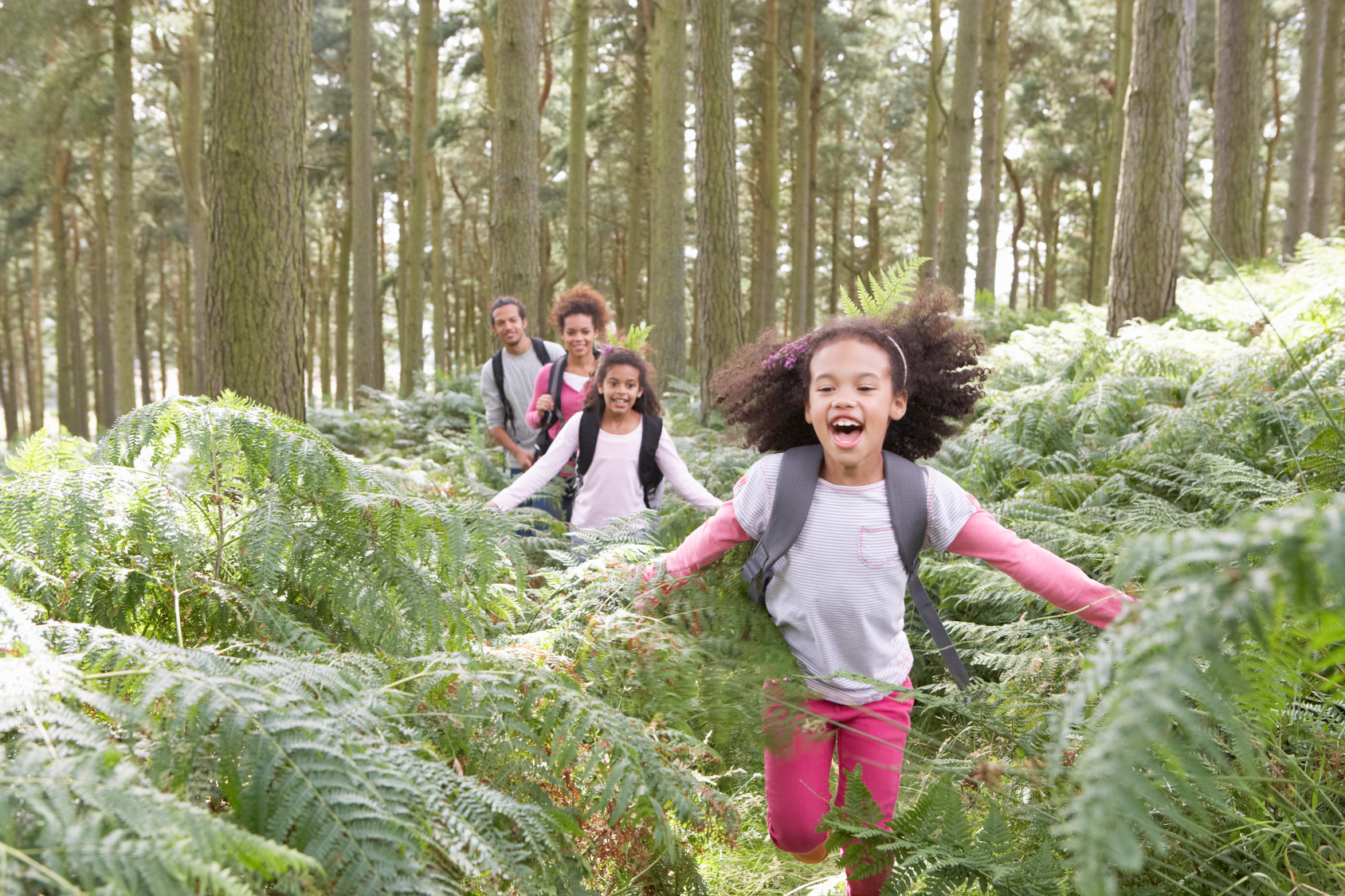 Top 10 Des Balades Et Randonnées à Faire En Famille - Val D'Oise ...